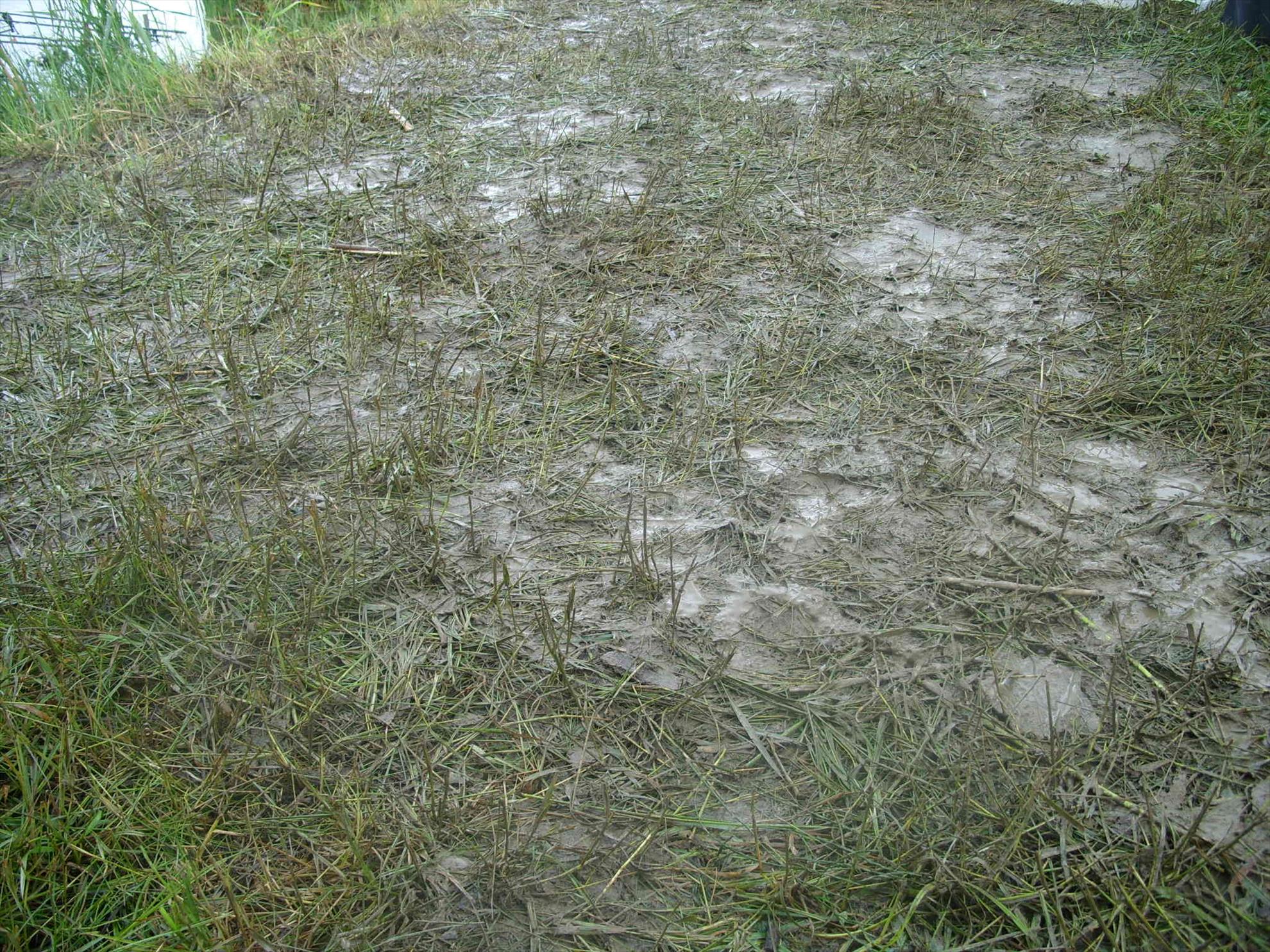 Sanpaul 7 - 9 iun. - stp80395.JPG